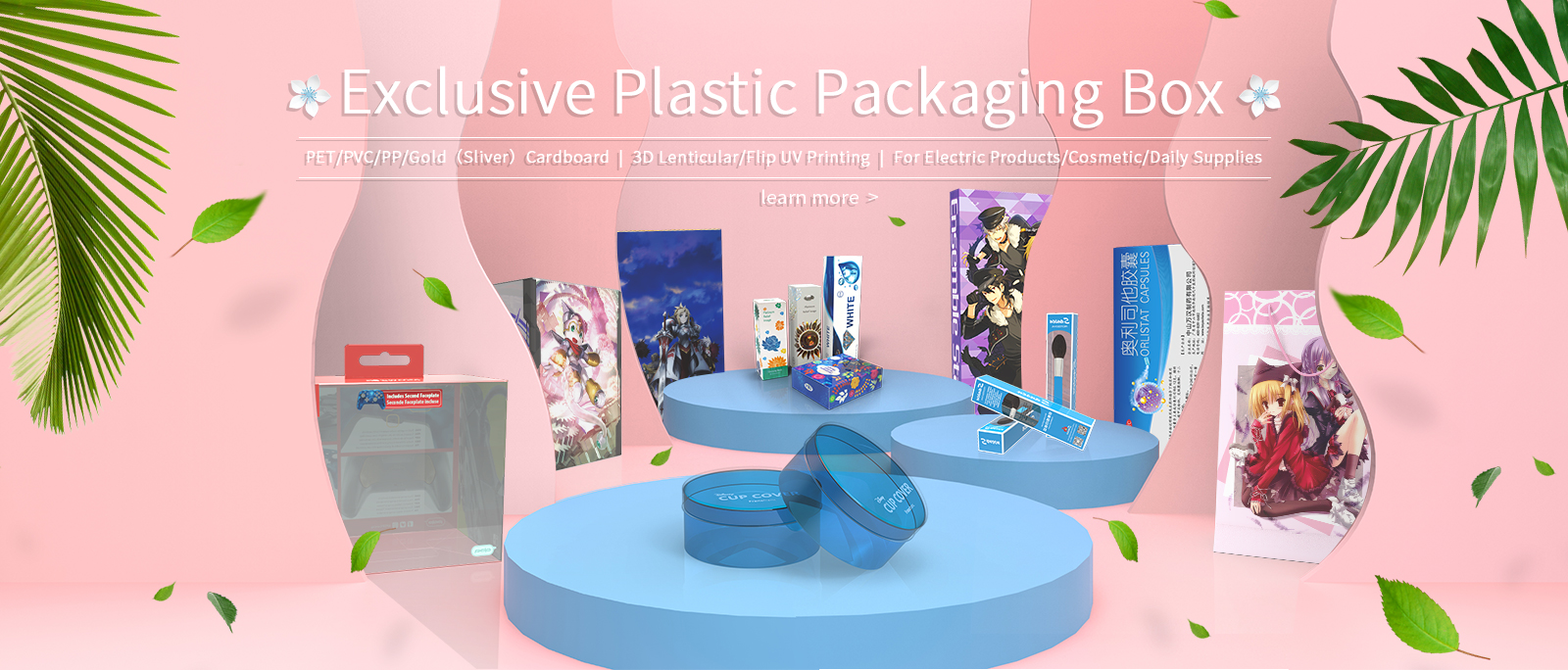 PP/PET/PVC Packaging Bags & Boxes